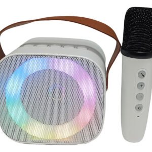 Parlante Mini Con Luces Rgb Frontales Con Microfono Karaoke