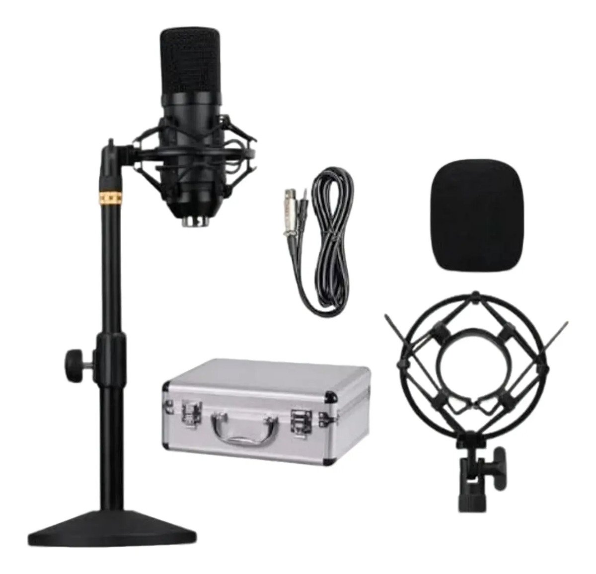 Kit Micrófono Profesional De Condensador Con Maletín Bm-700