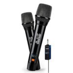 2 x Micrófono Inalámbrico Profesional Con Receptor y Plug 6.35mm