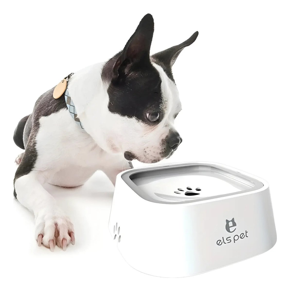 Plato Bebedero Antigoteo Antisalpicaduras Perros Gatos
